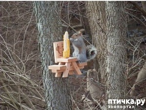 ����: �������� ����������� ���������� � ����!