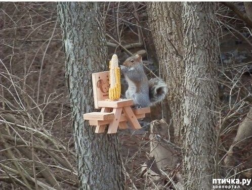 ���� 1: �������� ����������� ���������� � ����!