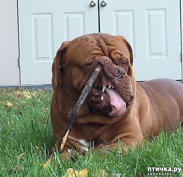 ���� 3: �������� ����������� ���������� � ����!