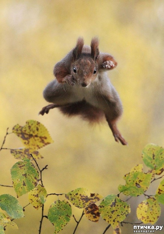 ���� 4: �������� ����������� ���������� � ����!