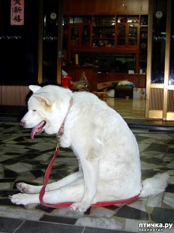 ���� 8: �������� ����������� ���������� � ����!