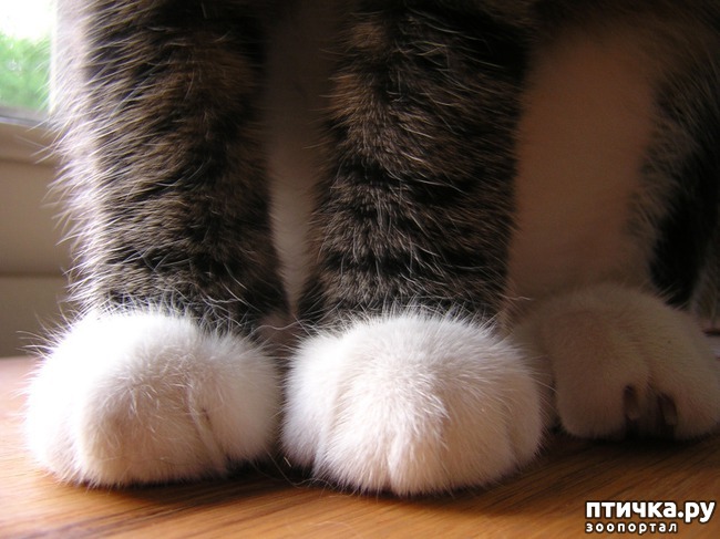  1:  