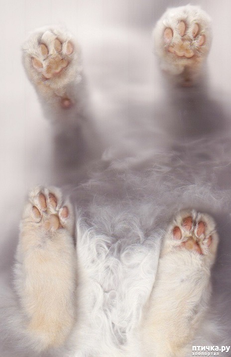  14:  
