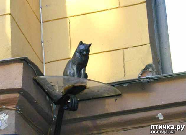 ���� 5: ����� � ������� ������������� �����