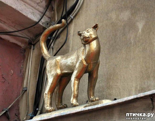 ���� 1: ����� � ������� ������������� �����