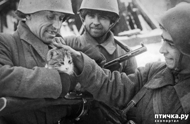 ���� 4: ����� � ������� ������������� �����