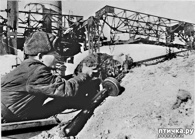 ���� 3: ����� � ������� ������������� �����