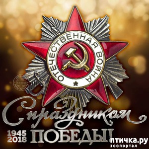 ����: � ���� ������!!!