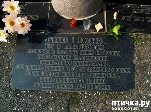 ����: ��������� ���