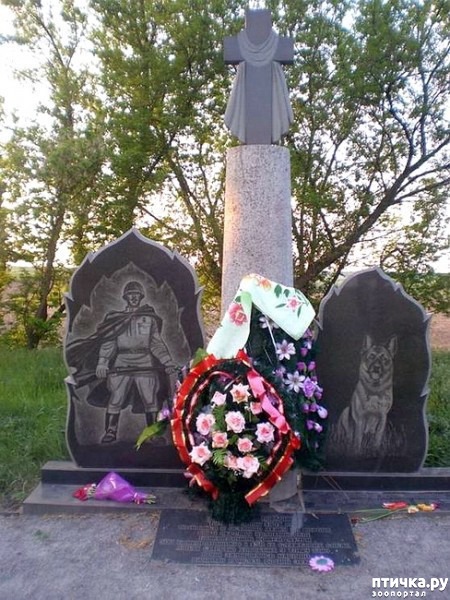 ���� 2: ��������� ���