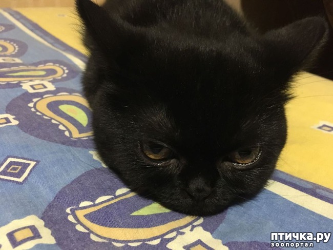 ���� 1: �� ����� ����, ��������, � � ������!