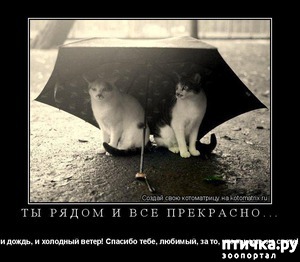 ����: ��������� �����������, ���������!