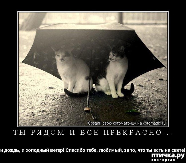 ���� 1: ��������� �����������, ���������!