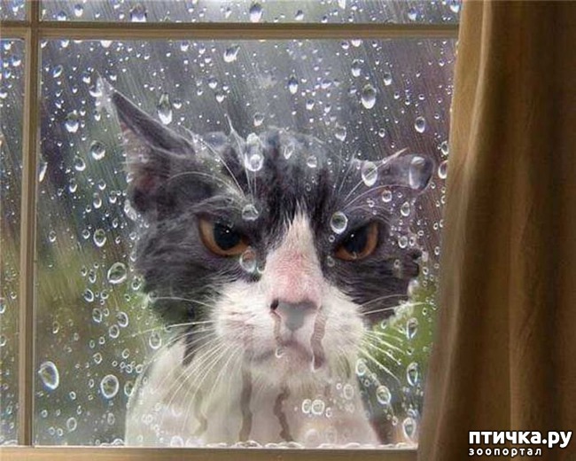 ���� 3: ��������� �����������, ���������!