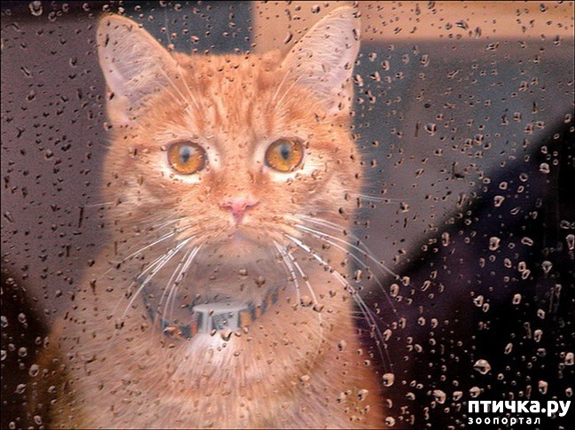 ���� 6: ��������� �����������, ���������!