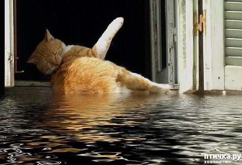 ���� 7: ��������� �����������, ���������!