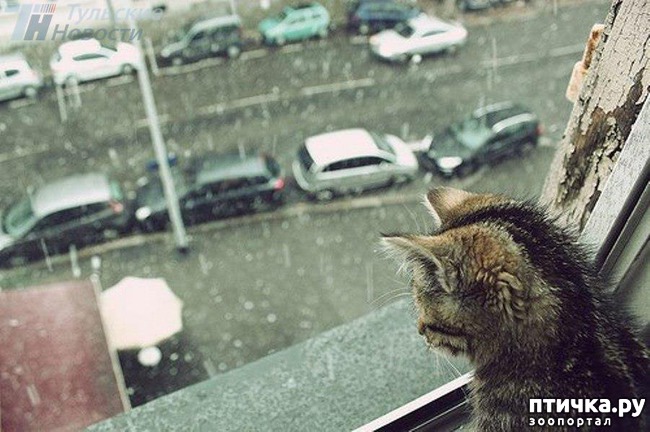 ���� 9: ��������� �����������, ���������!