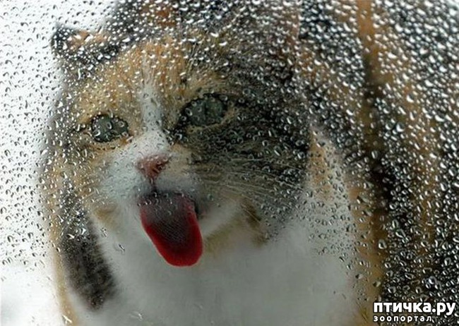 ���� 10: ��������� �����������, ���������!