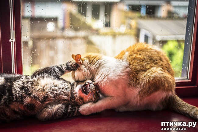 ���� 11: ��������� �����������, ���������!