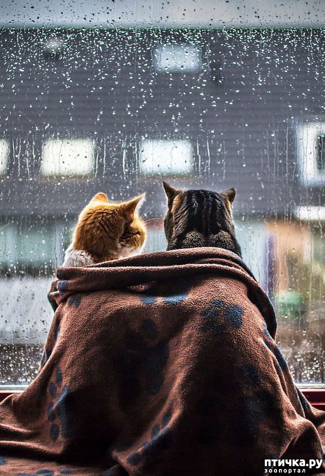 ���� 12: ��������� �����������, ���������!