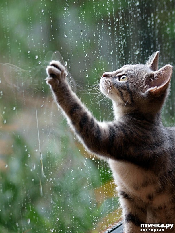 ���� 13: ��������� �����������, ���������!