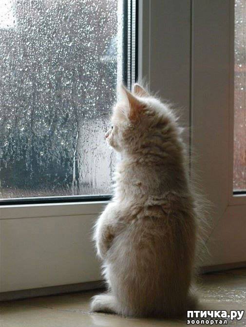 ���� 15: ��������� �����������, ���������!