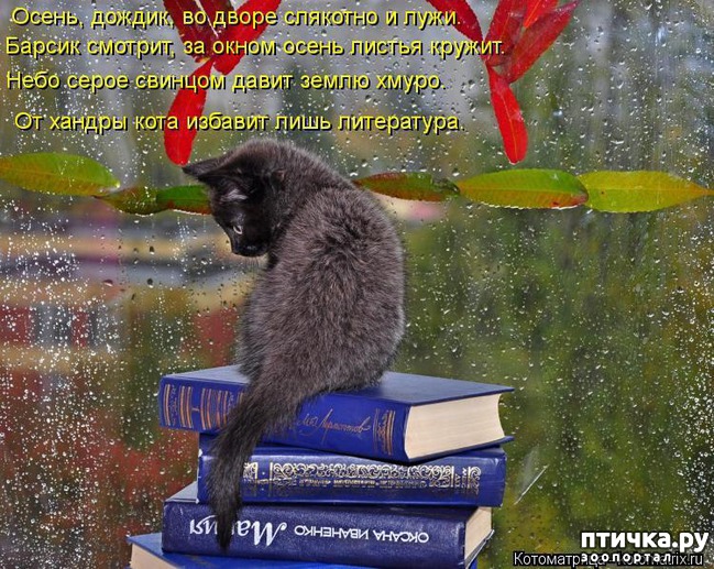 ���� 16: ��������� �����������, ���������!