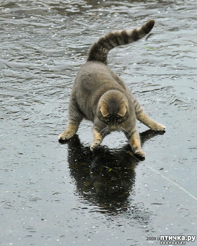 ���� 17: ��������� �����������, ���������!