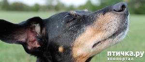 ����: ������� ������� � ������...)))