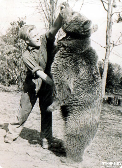 ���� 1: �������� �� ����� ������� ������������� �����