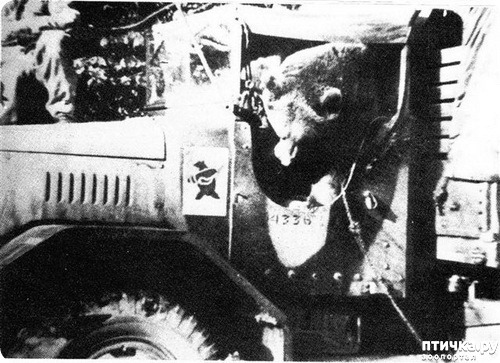 ���� 2: �������� �� ����� ������� ������������� �����