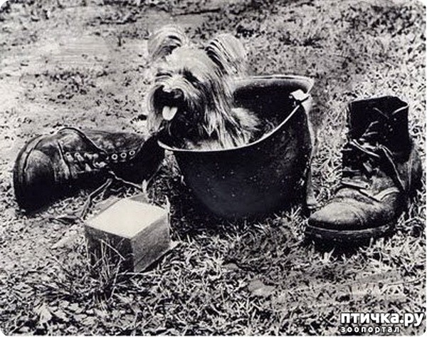 ���� 3: �������� �� ����� ������� ������������� �����