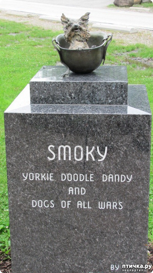 ���� 4: �������� �� ����� ������� ������������� �����