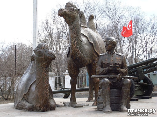 ���� 6: �������� �� ����� ������� ������������� �����