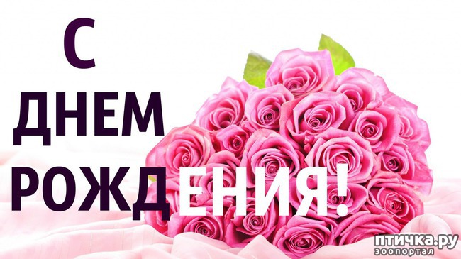 ���� 2: � ���� ��������!