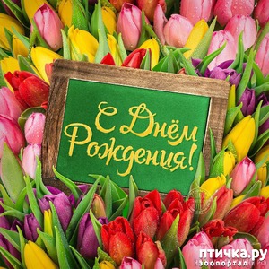 ����: � ���� ��������!