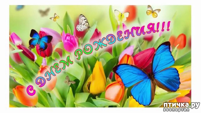 ���� 3: � ���� ��������!