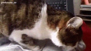 ����: ������� ��������!