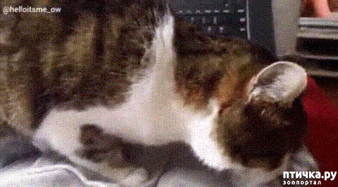 ���� 1: ������� ��������!