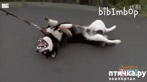 ����: ������� ������!