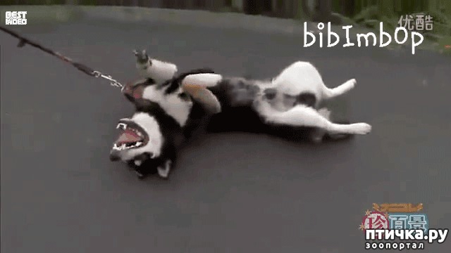 ���� 1: ������� ������!