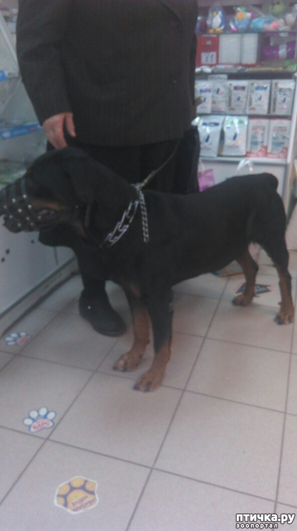 ���� 1: ���������-�������� � ������ ����