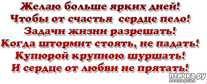 Гиф Надписи Пожелания На Прозрачном Фоне