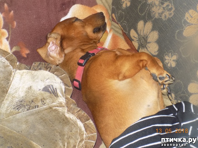 ���� 9: ����� ������