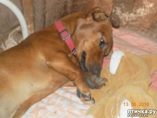 ���� 10: ����� ������