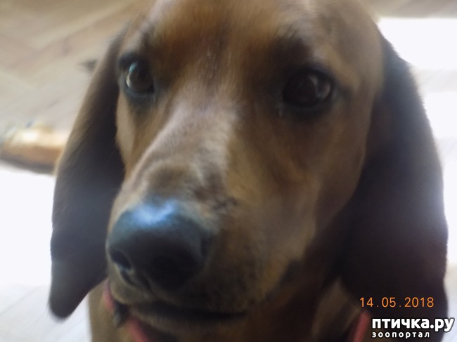 ���� 11: ����� ������