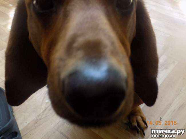 ���� 12: ����� ������