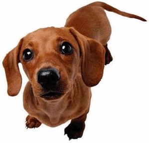 ����: ����� ������