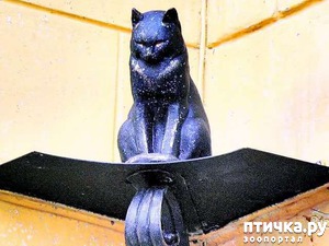 ����: ��������� ���