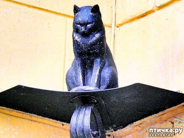 ���� 1: ��������� ���